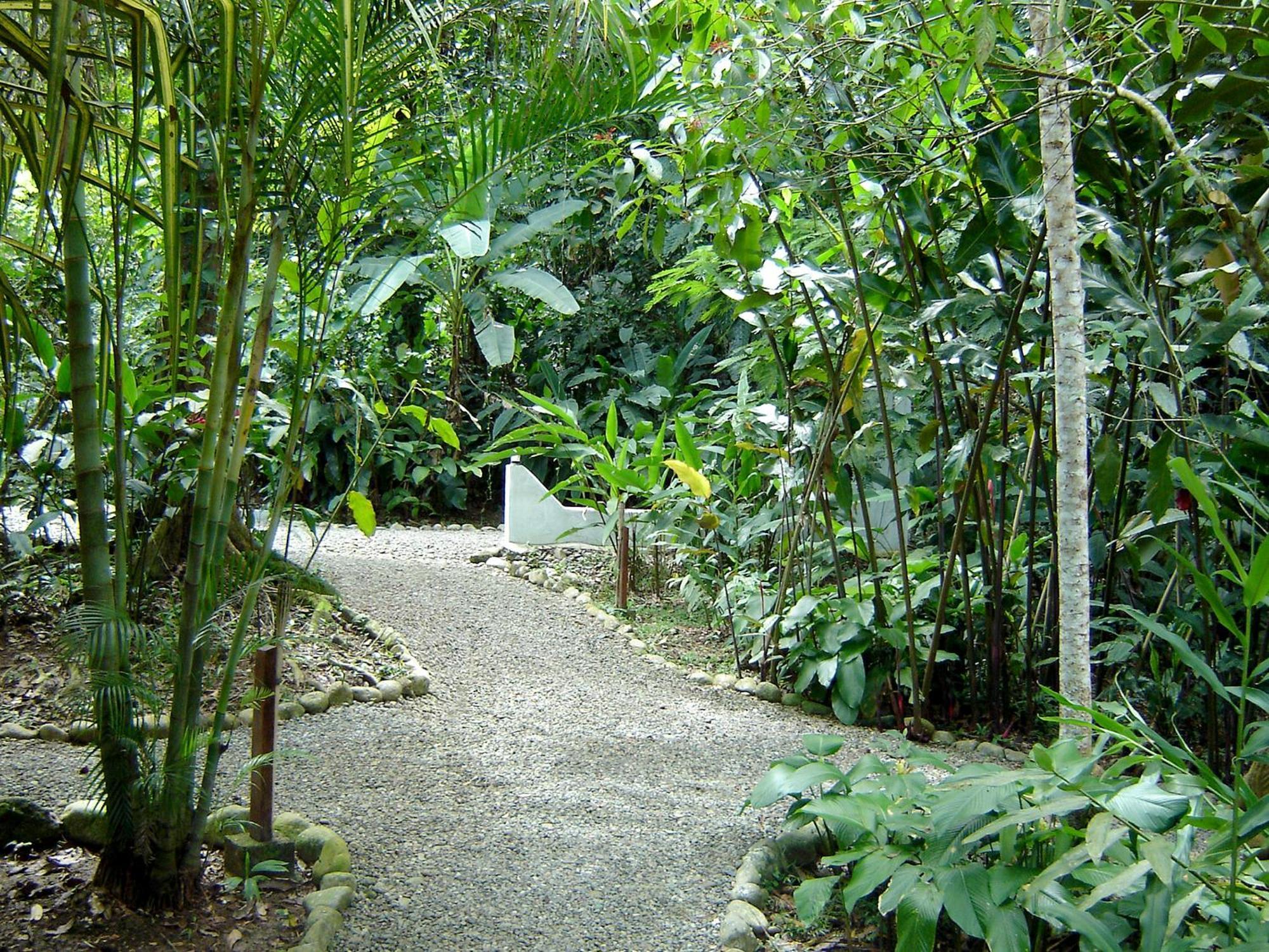 El Colibri Lodge Manzanillo  Eksteriør bilde