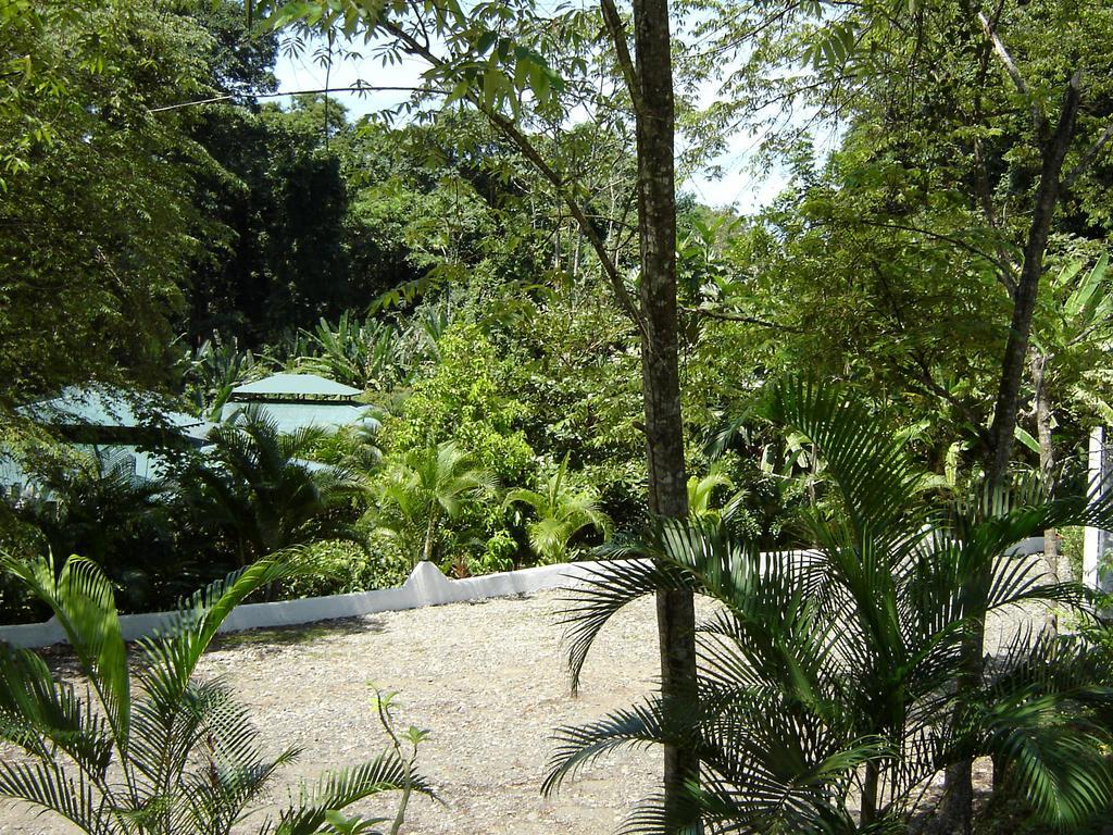El Colibri Lodge Manzanillo  Eksteriør bilde
