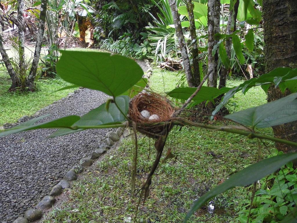 El Colibri Lodge Manzanillo  Eksteriør bilde