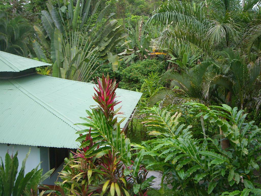 El Colibri Lodge Manzanillo  Eksteriør bilde