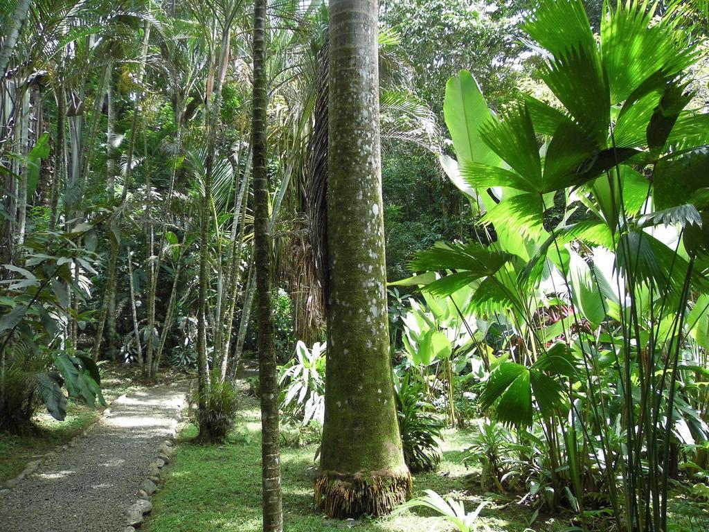 El Colibri Lodge Manzanillo  Eksteriør bilde
